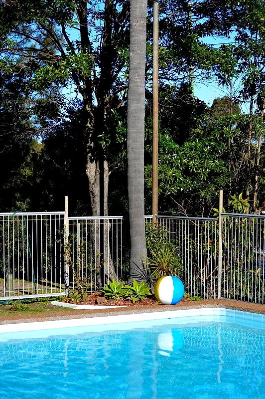 The corner of Mayfield Motel’s pool with a beach ball, planting and black pool fencing.